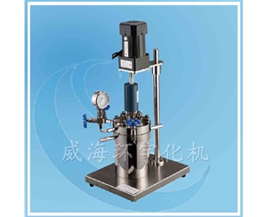 GSA型實驗高壓反應釜