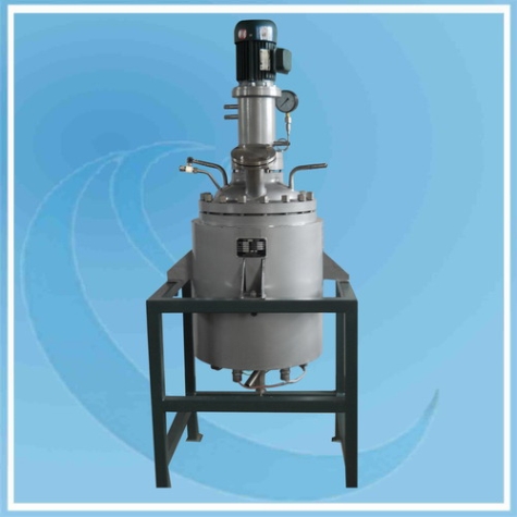 Hydrogenation Reactor